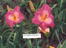 Storm Front